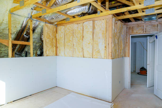 Best Insulation Repair Services  in USA